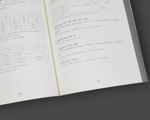 FLEX 루마니아어 상세 2