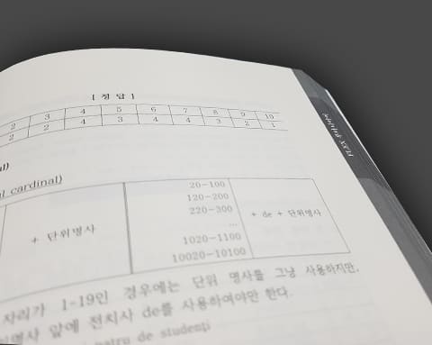 FLEX 루마니아어 상세 4